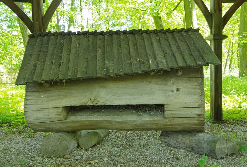 Najstarszy eksponat w skansenie pszczelarstwa pochodzi z XVII wieku. /ZOFIA BAZAK /East News