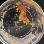 Najstarszy miód na świecie? Odkrycie sprzed 2,5 tysiąca lat