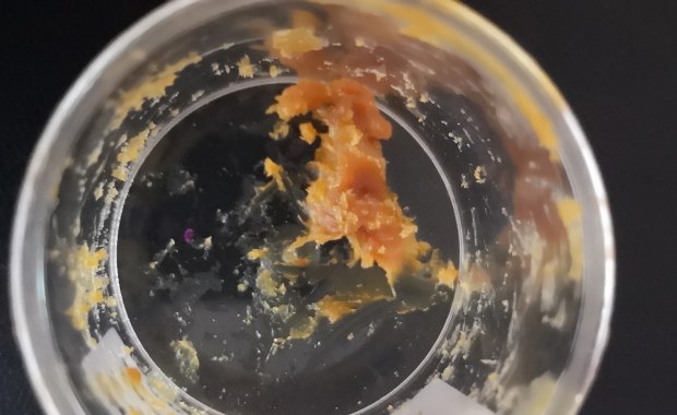 Najstarszy miód na świecie? Odkrycie sprzed 2,5 tysiąca lat