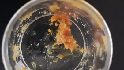 Najstarszy miód na świecie? Odkrycie sprzed 2,5 tysiąca lat