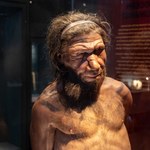 Najstarszy ugotowany posiłek Neandertalczyków? To nie mięso