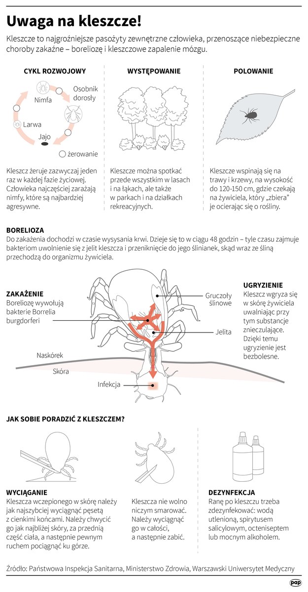 Najważniejsze informacje o kleszczach /Maria Samczuk, Adam Ziemienowicz /PAP