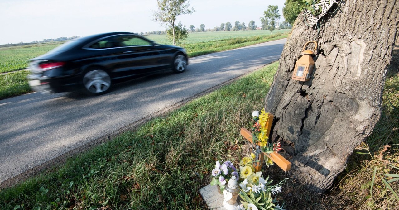 Najwięcej osób ginie w wypadkach na drogach jednojezdniowych, poza obszarem zabudowanym /Wojciech Strożyk REPORTER /Agencja SE/East News