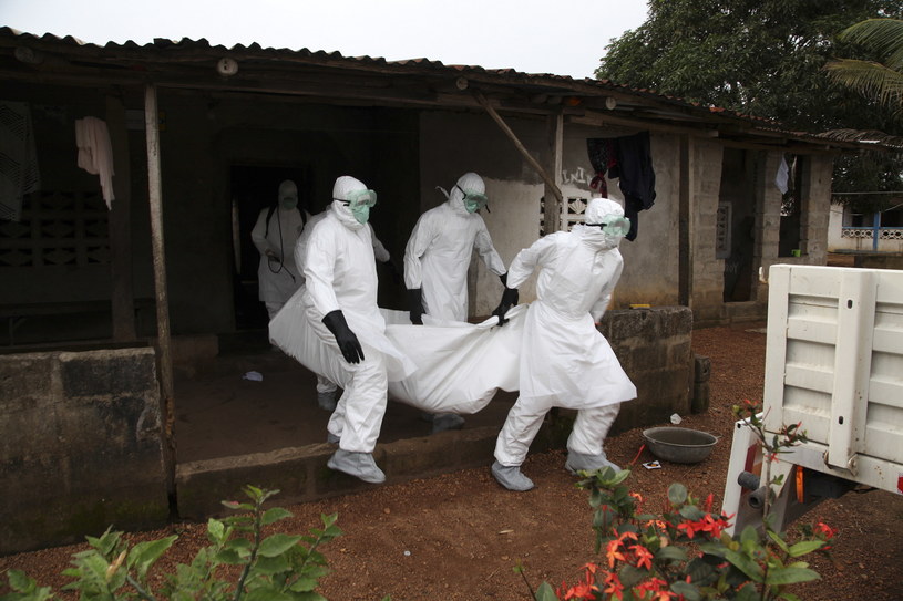 Największa epidemia eboli miała miejsce w Afryce Zachodniej w latach 2013–2016, kiedy to ponad 11 300 osób zmarło w Gwinei, Liberii i Sierra Leone /AHMED JALLANZO  /PAP/EPA