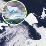 Największa góra lodowa ruszyła i dryfuje. Zmieni życie Antarktydy