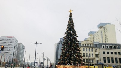 ​Największa łódzka choinka stoi przy Przystanku Centrum