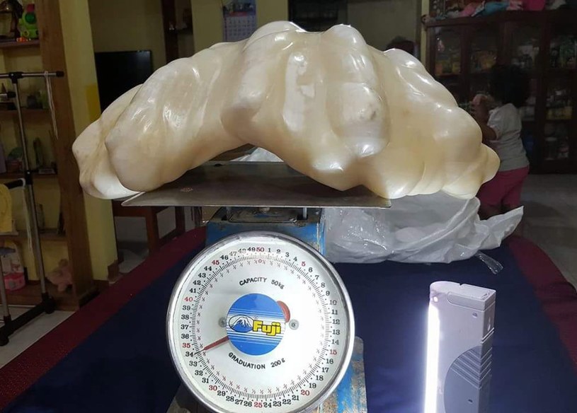 Największa perła świata waży 34 kg /PUERTO PRINCESA TOURISM OFFICE /PAP/EPA