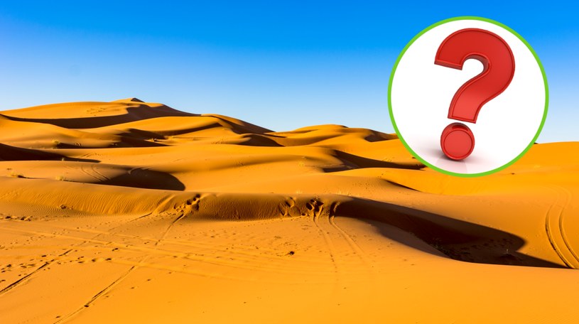 Największa pustynia na świecie zajmuje powierzchnię około 14,2 mln kilometrów kwadratowych /123RF/PICSEL