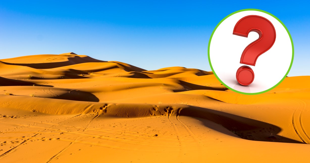 Największa pustynia na świecie zajmuje powierzchnię około 14,2 mln kilometrów kwadratowych /123RF/PICSEL