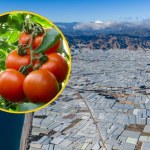 Największa szklarnia świata wykarmi pół miliarda ludzi. Widać ją z Kosmosu