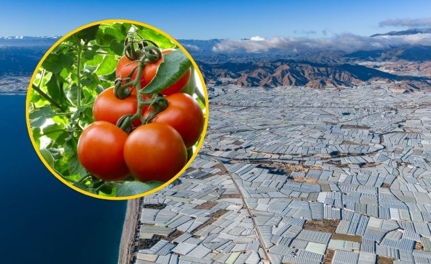 Największa szklarnia świata wykarmi pół miliarda ludzi. Widać ją z Kosmosu