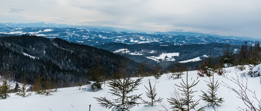 Największe od 16 lat październikowe opady śniegu w Czechach. Kilkadziesiąt centymetrów białego puchu w górach /Shutterstock