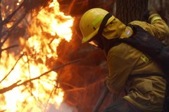 Największe pożary w historii Chile. Płoną lasy w całym kraju