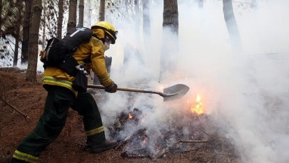 Największe pożary w historii Chile. Płoną lasy w całym kraju