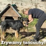 prawo Największe psy będą musiały mieć 20 m². Nowe przepisy tuż za rogiem