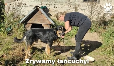 Największe psy będą musiały mieć 20 m². Nowe przepisy tuż za rogiem