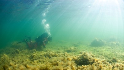 Największe w historii badanie dna Bałtyku. Wyniki zaskoczyły samych ekspertów