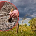 wampir Największe w Polsce cmentarzysko "wykluczonych". Zmarłych chowali tam twarzą do ziemi