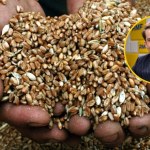 Największe zagrożenie w umowie z Mercosur. Były wiceminister tłumaczy