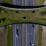 Największy most dla zwierząt w Ameryce Północnej otwarty. Kosztował 15 milionów dolarów