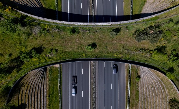 Największy most dla zwierząt w Ameryce Północnej otwarty. Kosztował 15 milionów dolarów