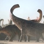 Największy północnoamerykański dinozaur. Odkryto szczątki sprzed 70 mln lat