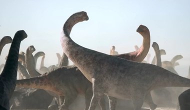 Największy północnoamerykański dinozaur. Odkryto szczątki sprzed 70 mln lat