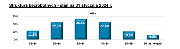 Największy poziom bezrobocia jest w grupie wiekowej 35 - 44 lat /Urząd Miasta Katowice /