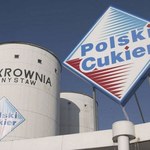 Największy producent cukru w Polsce na sprzedaż