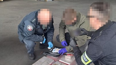 Największy taki przemyt od ponad dekady. Ukryli to w kontenerach z cegłami
