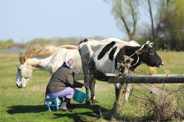 Największym wygranym napaści Rosji na Ukrainę będzie rolnictwo Białorusi... /AFP