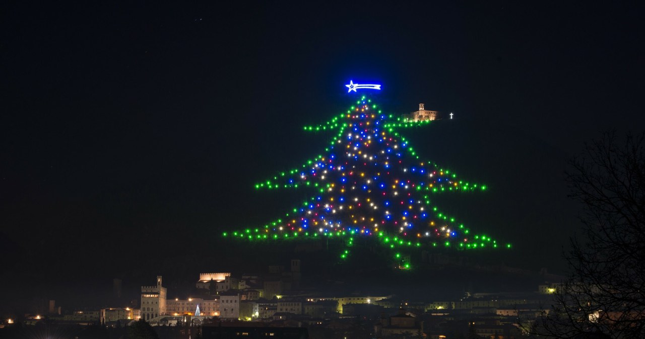 Najwyższa choinka na świecie liczy 750 metrów wysokości /ClickAlps /East News