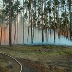 Najwyższy poziom zagrożenia pożarowego w lasach w całym kraju