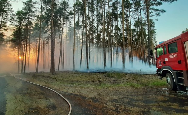 Najwyższy poziom zagrożenia pożarowego w lasach w całym kraju