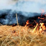 Najwyższy stopień zagrożenia pożarowego w lasach Podkarpacia