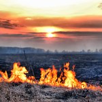 Najwyższy trzeci stopień zagrożenia w lasach w Polsce