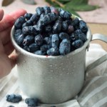 Najzdrowsza z jagód. Remedium na stawy, cukier i dnę moczanową