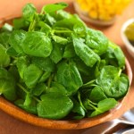 Najzdrowsze i najbardziej niedoceniane warzywo. Cukrzyk i senior powinien robić z nią kanapki i sałatki