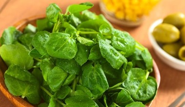 Najzdrowsze i najbardziej niedoceniane warzywo. Cukrzyk i senior powinien robić z nią kanapki i sałatki