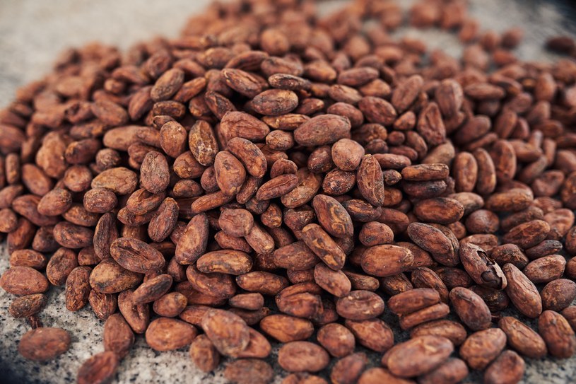 Najzdrowsze jest kakao surowe. Komu przyniesie najwięcej korzyści, a kto musi uważać? /123RF/PICSEL
