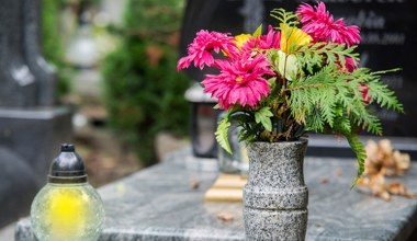 Nakarm tym kwiaty w Zaduszki. Będą świeże przez kolejne tygodnie 