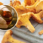 Nalewka z kurek na pasożyty. Remedium na robaki w jelitach i pasożyty skóry