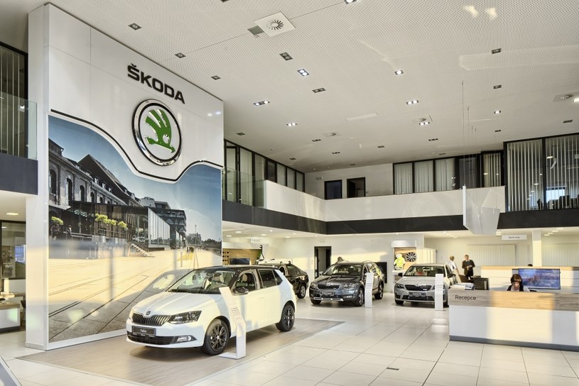 Nalężąca do grupy VW Skoda od lat jest liderem sprzedaży w Polsce /Informacja prasowa