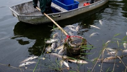 Namierzono prawdopodobnego sprawcę katastrofy ekologicznej w Poznaniu
