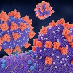 Nanocząstki opanują burzę cytokinową podczas COVID-19