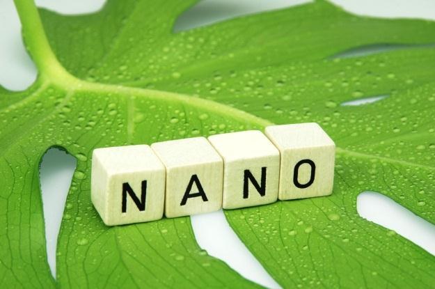 Nanocząstki wkraczają do świata roślin jadalnych /123RF/PICSEL