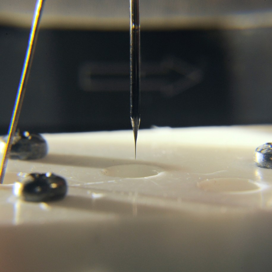 Nanoczujnik do monitorowania zmian odczynu pH. /IChF PAN, Grzegorz Krzyżewski /materiały prasowe