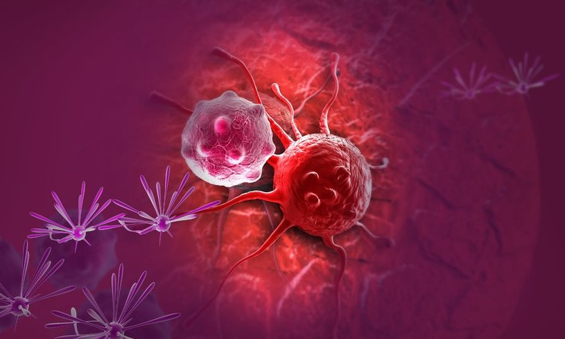 Nanodiamenty pomogą zniszczyć rakowe komórki macierzyste /123RF/PICSEL
