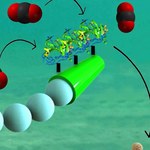 Nanoroboty w walce z zanieczyszczeniami oceanów