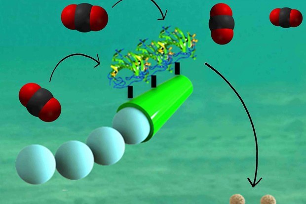 Nanoroboty wkrótce zaczną oczyszczać oceany /materiały prasowe